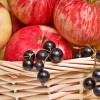 Uudet tutkimukset vahvistavat FODMAP-rajoituksen asemaa IBS:ssä omena mustaherukka