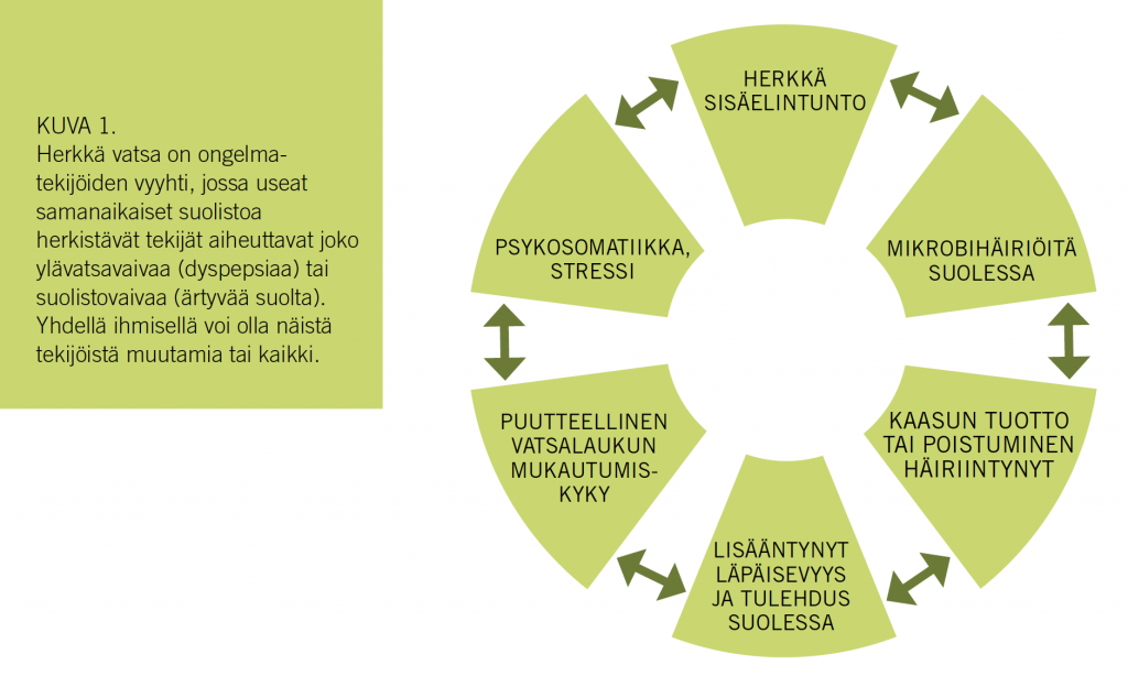 Toiminnallisten vatsavaivojen syyt