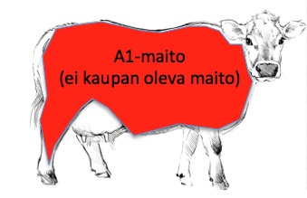 A1