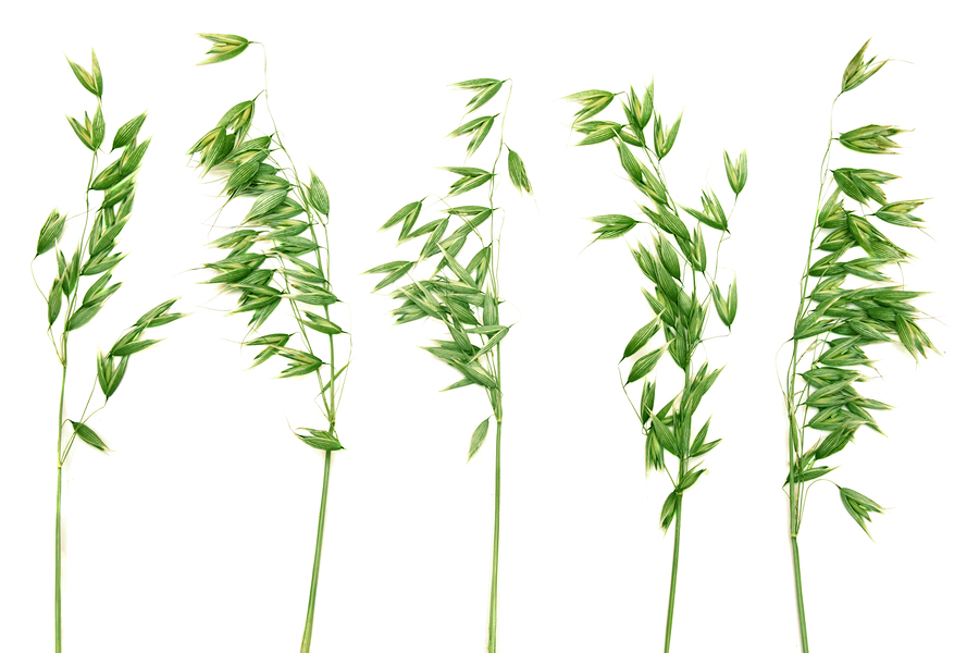 Asiantuntijat: FODMAP-rajoitus auttaa ja gluteenisensitiivisyys on olemassa